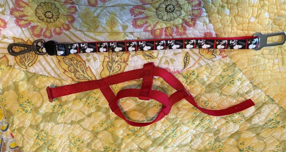 Unbranded Harness Nylon, Small & Adjustable Snoopy pet seat belt safety leash